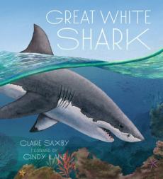 Great white shark