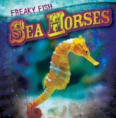 Sea horses