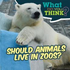 Should Animals Live in Zoos?