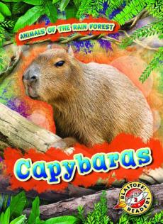 Capybaras