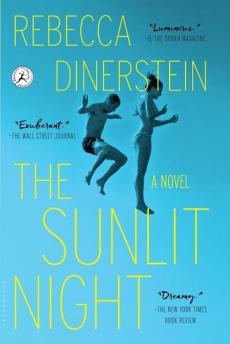 The sunlit night : a novel