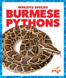 Burmese Pythons