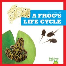 A Frog's Life Cycle