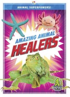 Amazing Animal Healers