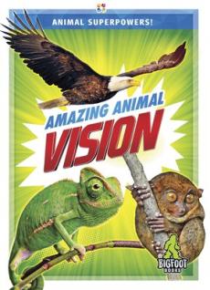 Amazing Animal Vision