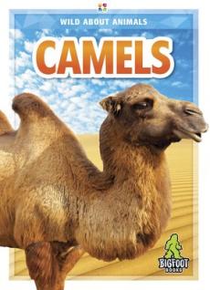 Camels