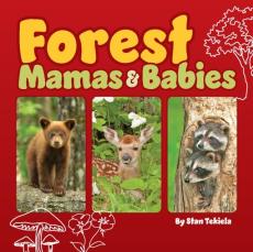 Forest Mamas & Babies