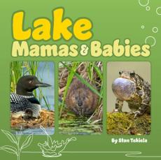 Lake Mamas & Babies