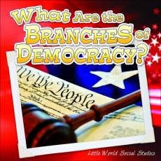 What Are the Branches of Government?