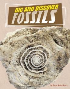 Dig and Discover Fossils