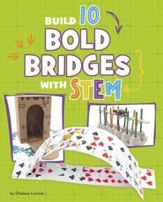 Build 10 Bold Bridges with Stem