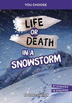 Life or Death in a Snowstorm