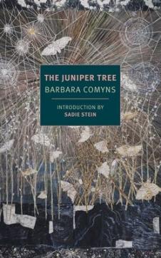The juniper tree