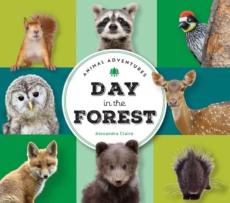 Animal Adventures: Day in the Forest