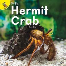 Hermit Crab