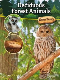 Deciduous Forest Animals