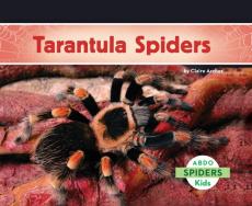 Tarantula Spiders