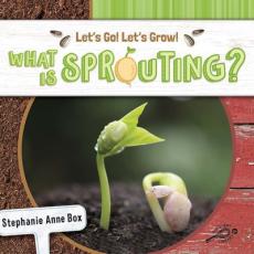 What Is Sprouting?