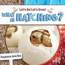 What Is Hatching?