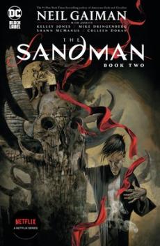 The Sandman (Book two)