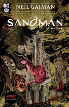 The Sandman (Book six)