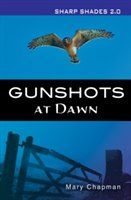 Gunshots at dawn