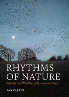 Rhythms of nature