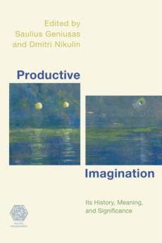 Productive imagination