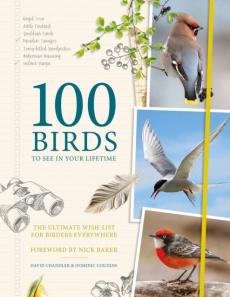 100 birds to see in your lifetime