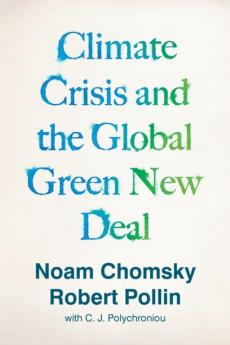 Climate crisis and the global green new deal : the political economy of saving the planet