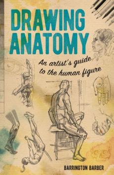 Drawing anatomy