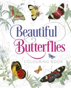 Beautiful butterflies colouring book