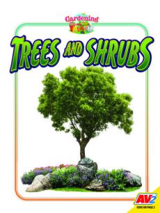 Trees and Shrubs