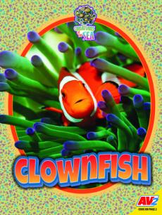 Clownfish