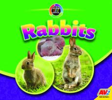 Rabbits