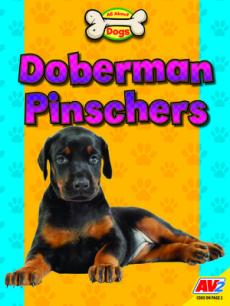 Doberman Pinschers