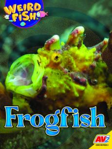 Frogfish