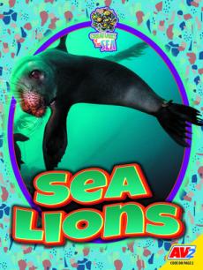 Sea Lions