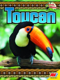 Toucan