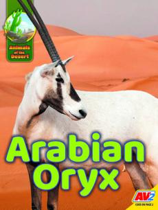 Arabian Oryx