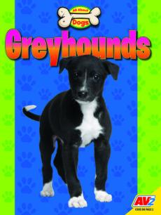 Greyhounds