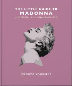 Little guide to madonna