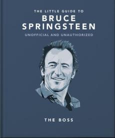 Little guide to bruce springsteen