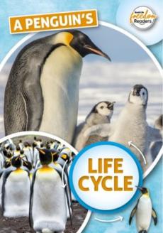Penguin's life cycle