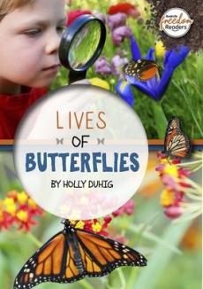 Lives of butterflies