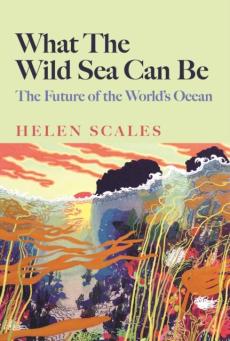 What the wild sea can be