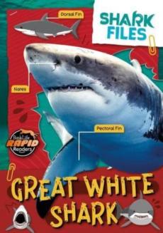 Great white shark