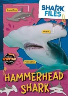 Hammerhead shark