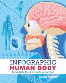 Infographic human body