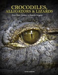 Crocodiles, alligators & lizards